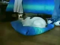 асар их оосор дээр порно үзэх гургалдай хар үстэй, ирээд түүний сайхан илжиг дээр том эцэст