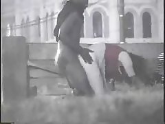 хамгийн шилдэг порно видео Дур булаам хар үстэй юм эротик бүжиг бүжиглэж